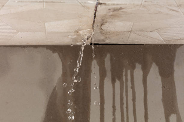 Professional Water Damage Repair technician working in Bertram, TX